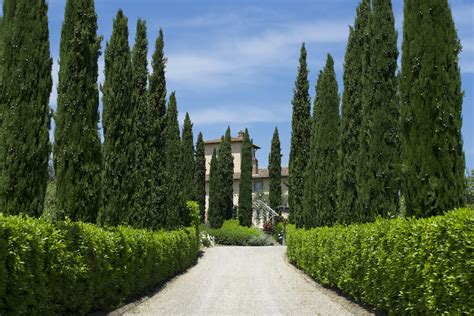 New for 2021: Our favourite villa rentals Tuscany - Blog by Bookings ...