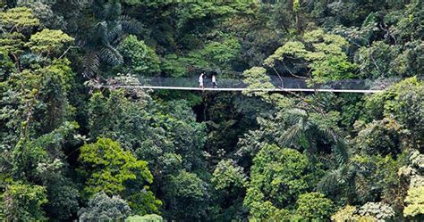 Arenal Hanging Bridges - Guided Hike | Costa Rica Descents