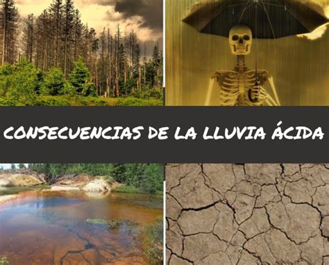 ¿Qué es la Lluvia Ácida? -- Descúbrelo en :: Lacontaminación.org