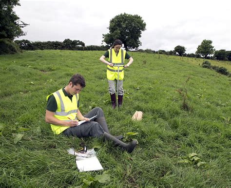 Surface Soil Sampling