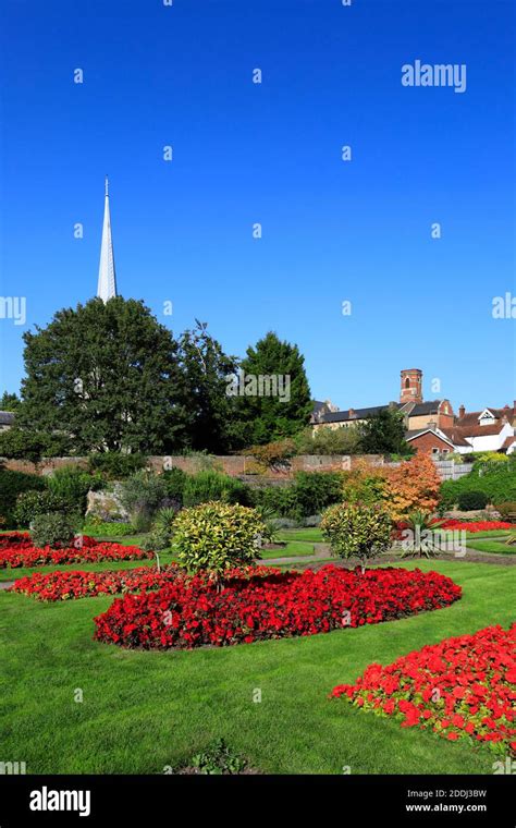 Summer view of the Rose Gardens, Hemel Hempstead town, Hertfordshire ...