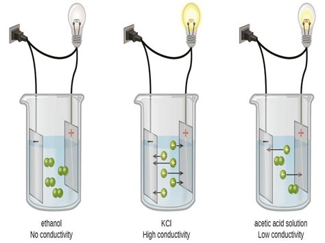 Nonelectrolyte Definition and Examples in Daily Life – StudiousGuy