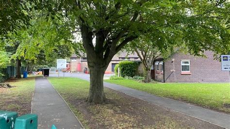 Girl dies after being hit by tree at Gosforth Park First School - BBC News