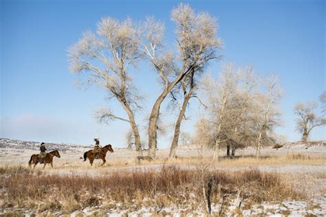 Things To Do In Pinedale, Wyoming: A Beautiful Part Of The State