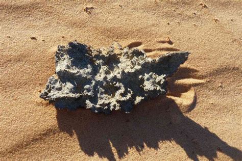 Fulgurites: When Lightning Strikes Sand, Magic Is Formed