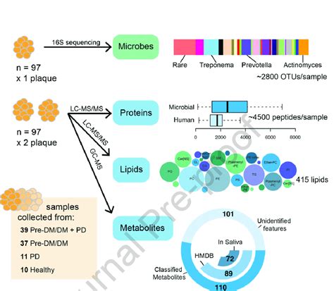 Sample collection and processing strategy for the microbiome, proteome ...