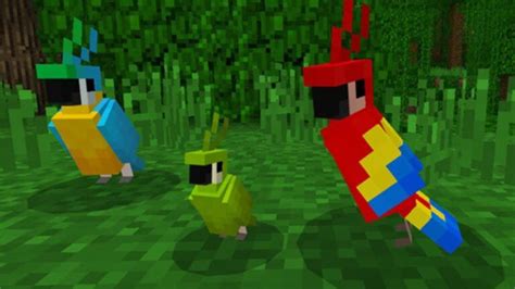 400+ Minecraft Parrot Names (2023) | Name Guider