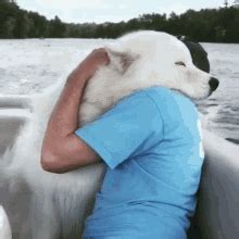 Dog Hug GIFs | Tenor