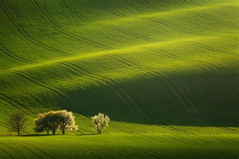 Landscape of South Moravia on Behance