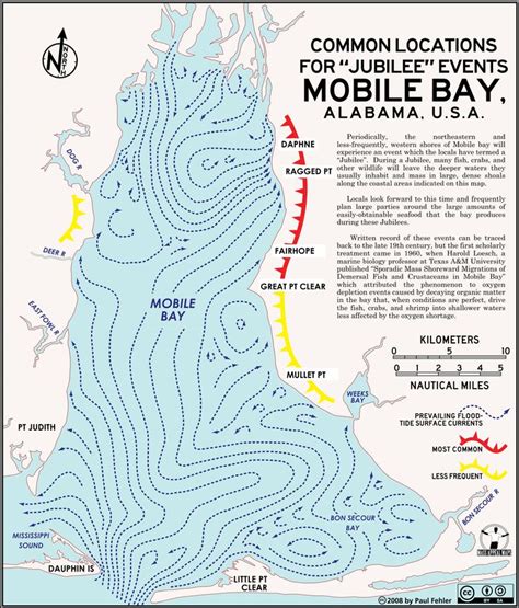 mobile bay fishing map - Google Search | Fairhope, Fairhope alabama ...