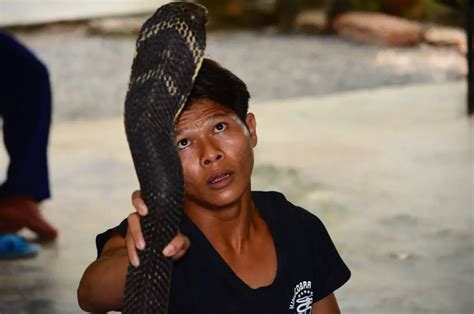 King Cobra Bite (How Long Do You Have?) | Thailand Snakes