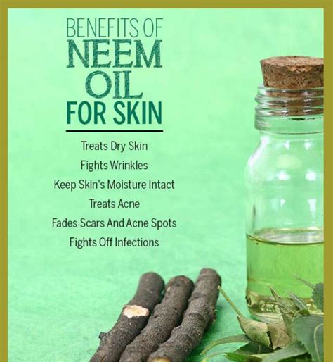 Neem Oil For Skin Is A Beauty Boon