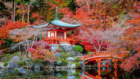 Le jardin Daigo-ji, temple des fleurs à Kyoto - Photos Futura