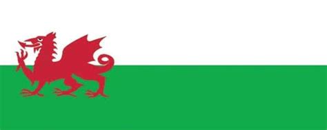 Welsh Flag Design Large Personalised Banner 10ft x 4ft | Partyrama