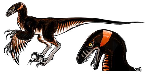 Dromaeosaur by Relotixke on DeviantArt