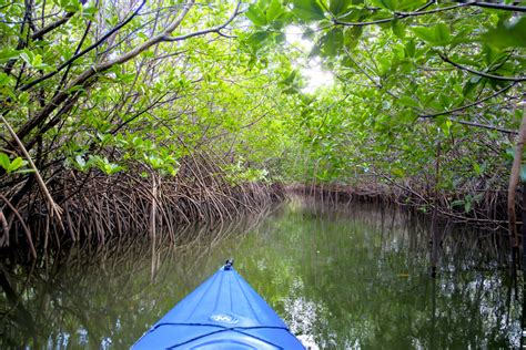 Things to Do in Bradenton FL - Going Awesome Places