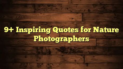 10+ Inspiring Photography Nature Quotes Best Message