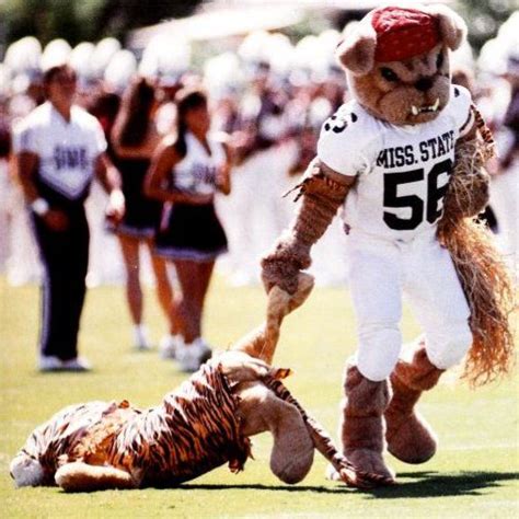 Mississippi State Bulldogs mascot Bully drags a tiger down the field ...