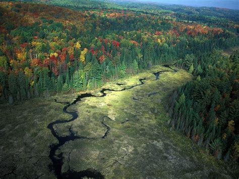 Algonquin Provincial Park, Canada in Autumn | Amusing Planet