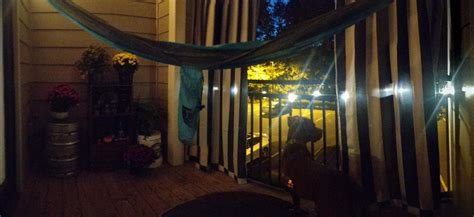 My small apartment balcony where I do all my studying. : r/CozyPlaces