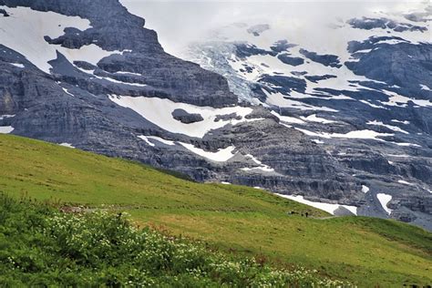 Alpine Mountains The Glacier - Free photo on Pixabay