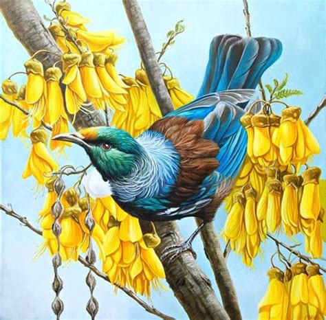 Craig Platt NZ wildlife artist, New Zealand birds artist, Auckland ...