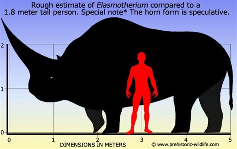 Elasmotherium | Prehistoric animals dinosaurs, Ancient animals, Extinct animals