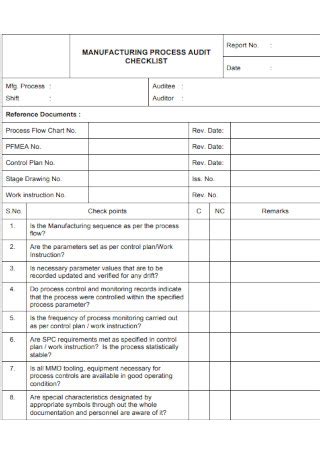 Process Audit Template