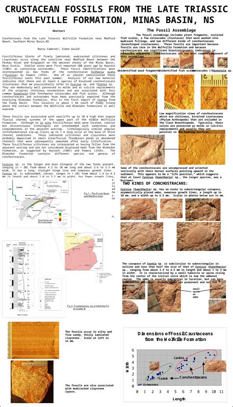 (PPT) CRUSTACEAN FOSSILS FROM THE LATE TRIASSIC WOLFVILLE FORMATION, MINAS BASIN, NS - DOKUMEN.TIPS