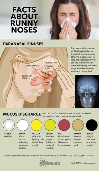 What Your Snot Says About You (Infographic) | Live Science