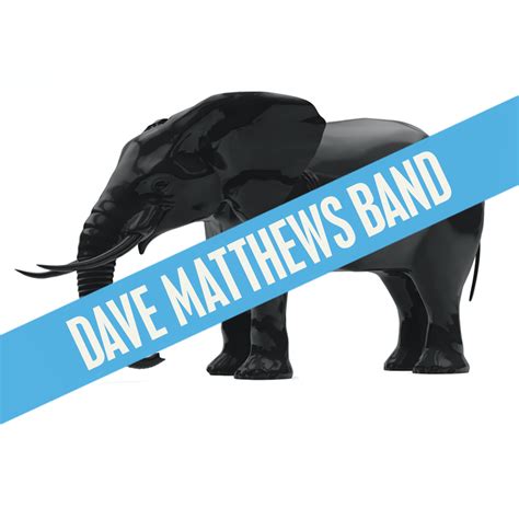 DAVE MATTHEWS BAND