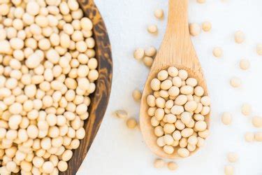 What Are the Dangers of GMO Soybeans? | livestrong