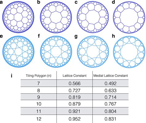 Poincaré-disk-model1,52,53 conformal projections of hyperbolic ...