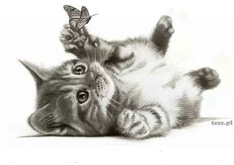 Drawing pencil | Art drawings, Sketches, Animal drawings