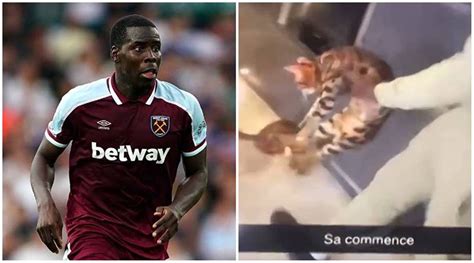 Shocking: Premier League defender Kurt Zouma filmed kicking pet cat across his house | Football ...