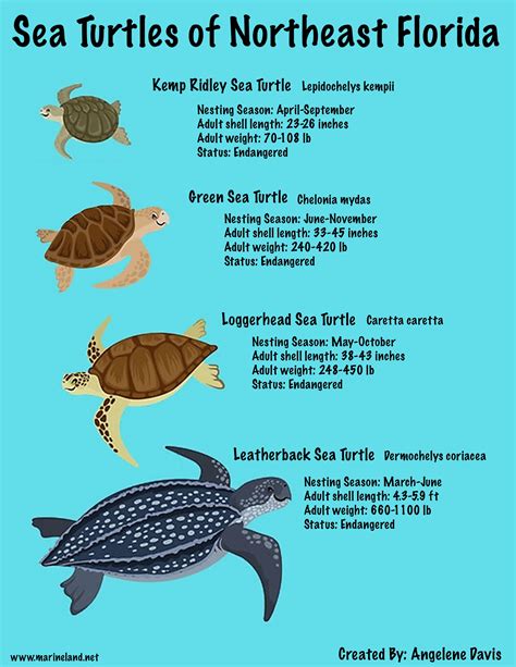 Green Sea Turtle Habitat Map