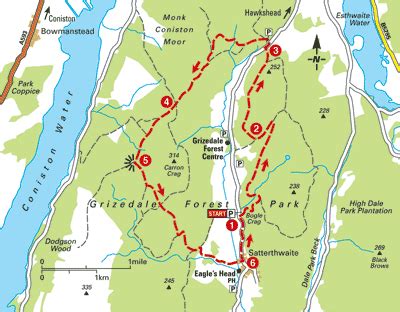 Grizedale Forest Park and Satterthwaite - Bike Rides - The AA