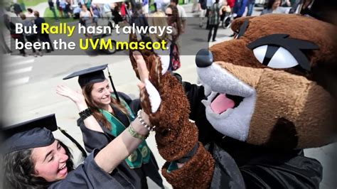 Vermont basketball: Explaining the Catamount mascot for UVM sports