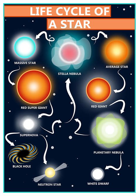 GCSE Science Life Cycle of a Star Educational A2 Poster – Tiger Moon