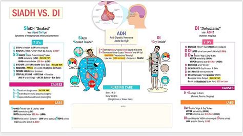 Pin on Fundamentals of nursing