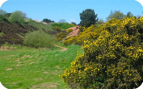 Park Hall Country Park Walk and Map — Local Walks