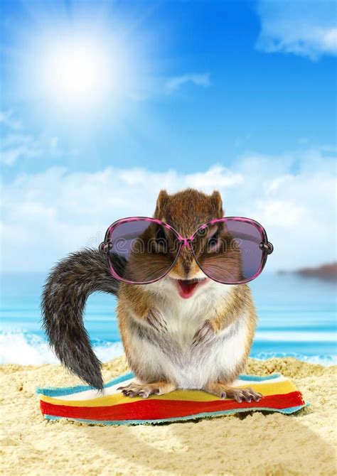 Funny animal on summer holiday, squirrel on the beach. With sunglasses , #AFFILIATE, #summer, # ...