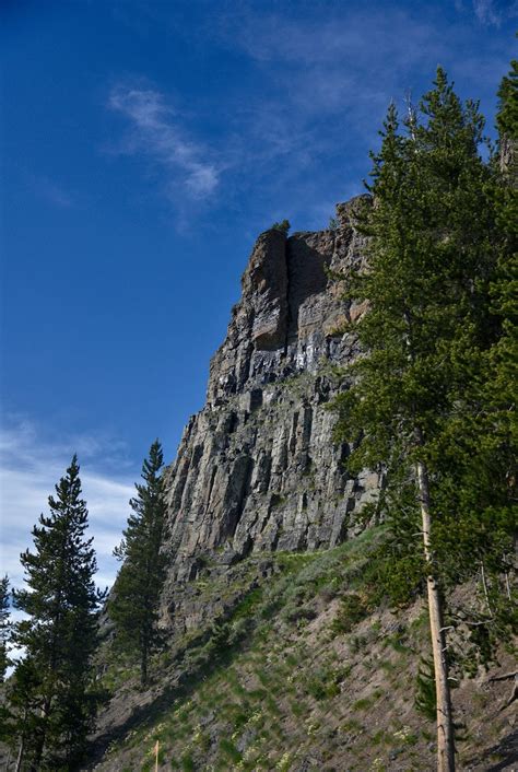 Yellowstone: Obsidian Cliff - light-in-leaves