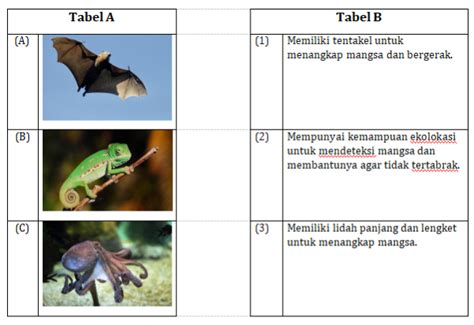 kejarcita | Merdeka Belajar Merdeka Mengajar