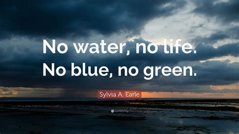 90 Sylvia A. Earle Quotes (2024 Update) - QuoteFancy