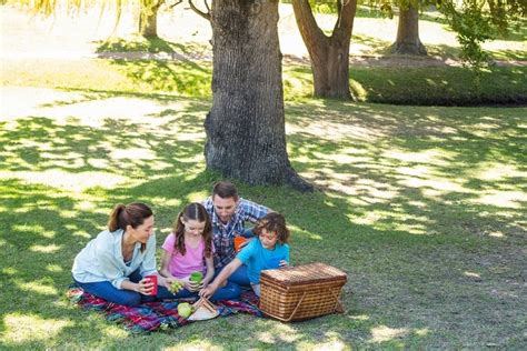 The Best Picnic Spots in Brisbane For Families | Brisbane Kids