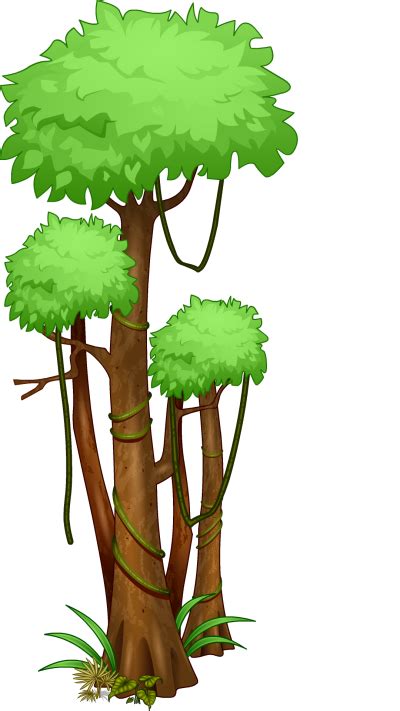 clipart jungle tree 20 free Cliparts | Download images on Clipground 2024