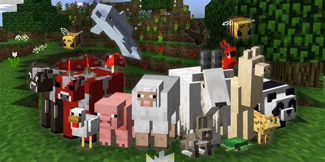 This Adorable Animal is Begging to Become a Minecraft Mob