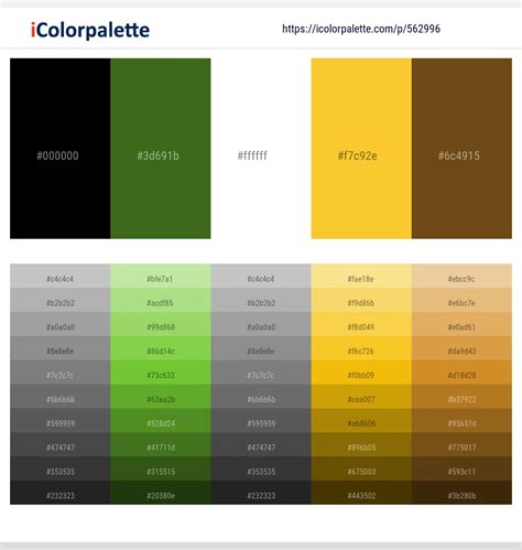 210+ Latest Color Schemes with Black And Gold Color tone combinations ...