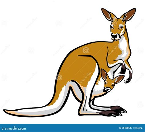 Red Kangaroo With Joey In Pouch Cartoon Vector | CartoonDealer.com #26460517